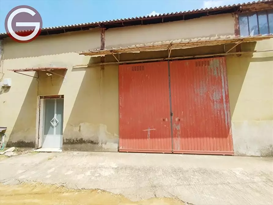 Immagine 2 di Capannone industriale in affitto  a Taurianova