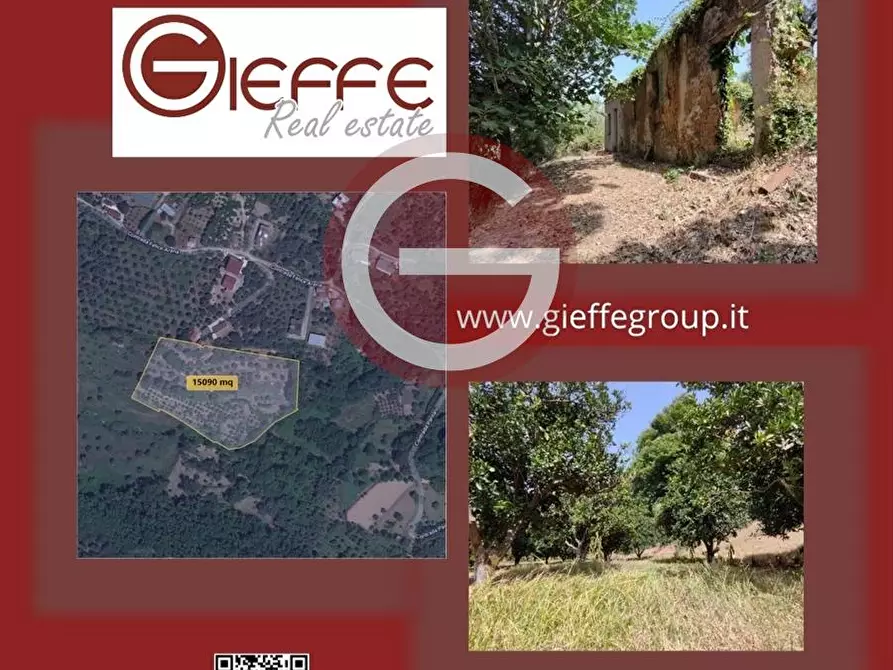 Immagine 1 di Terreno agricolo in vendita  a San Giorgio Morgeto