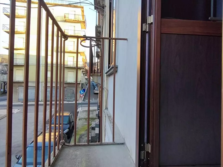 Immagine 17 di Casa indipendente in vendita  a Cittanova