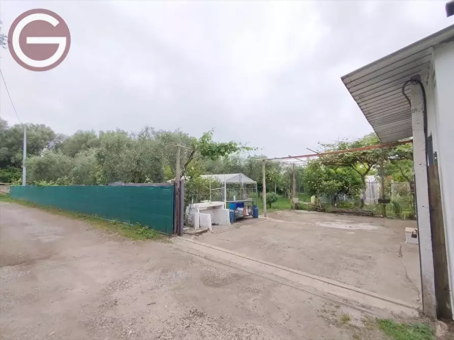 Immagine 2 di Terreno agricolo in vendita  a Taurianova