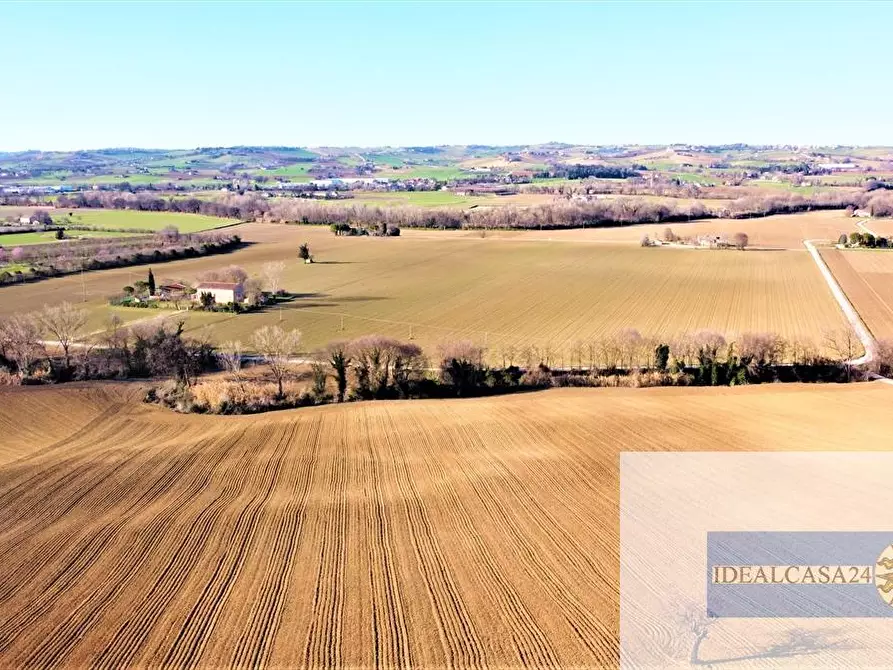 Immagine 23 di Casa indipendente in vendita  in C.da Case Nuove a Montelupone