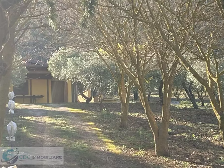 Immagine 14 di Terreno agricolo in vendita  in ss 118  a Prizzi