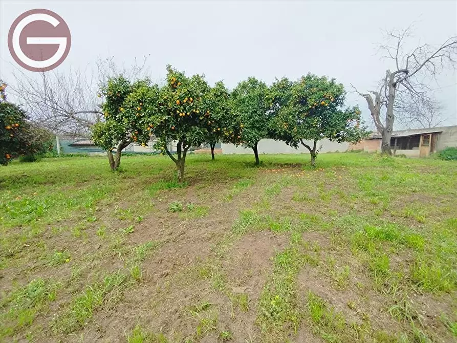 Immagine 3 di Terreno edificabile in vendita  a Taurianova