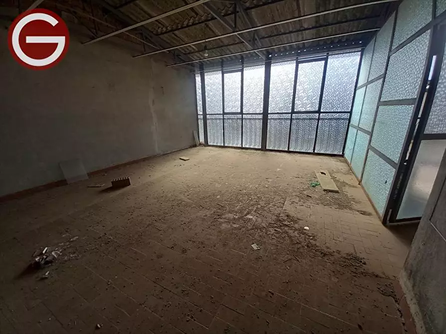 Immagine 21 di Casa indipendente in vendita  a Cittanova