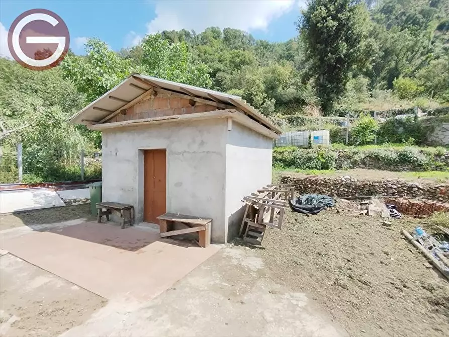 Immagine 1 di Terreno agricolo in vendita  in Fiumara Serra a Cittanova