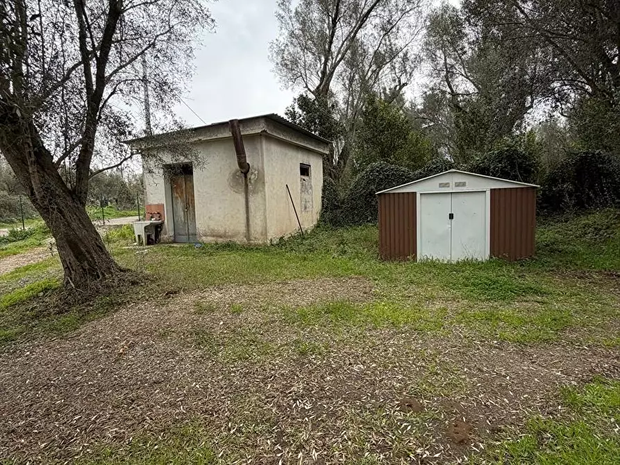 Immagine 3 di Terreno agricolo in vendita  a Taurianova