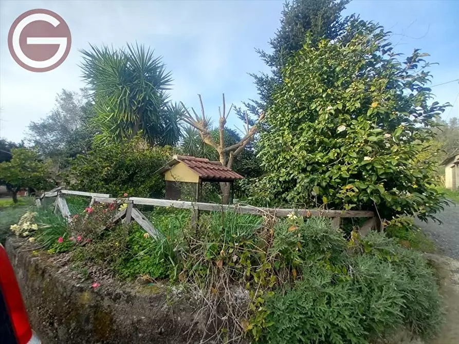 Immagine 10 di Terreno agricolo in vendita  a Cinquefrondi