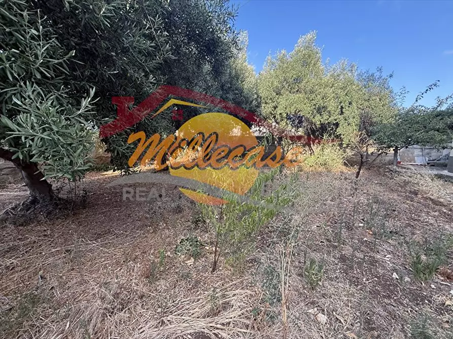 Immagine 17 di Villa in vendita  in via franca maria gianna a Siracusa