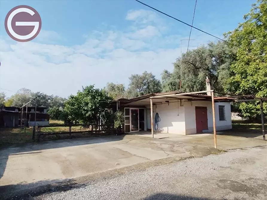 Immagine 3 di Casa indipendente in vendita  a Taurianova