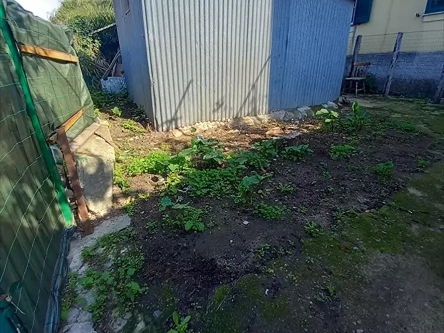 Immagine 24 di Appartamento in vendita  a Cinquefrondi