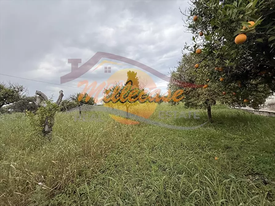 Immagine 7 di Villa in vendita  in VIA SAN TOMMASO a Siracusa