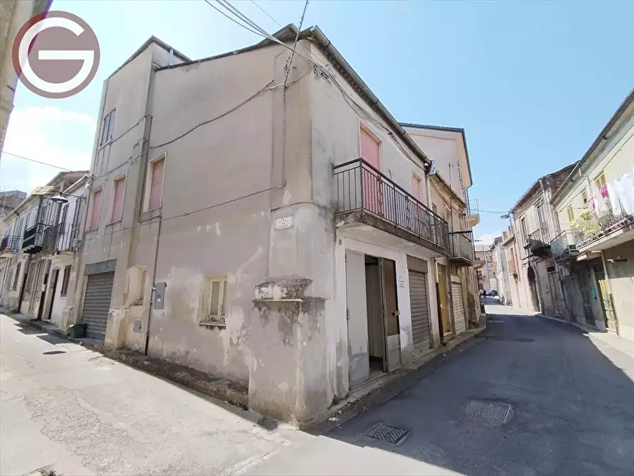 Immagine 16 di Casa indipendente in vendita  a Cittanova