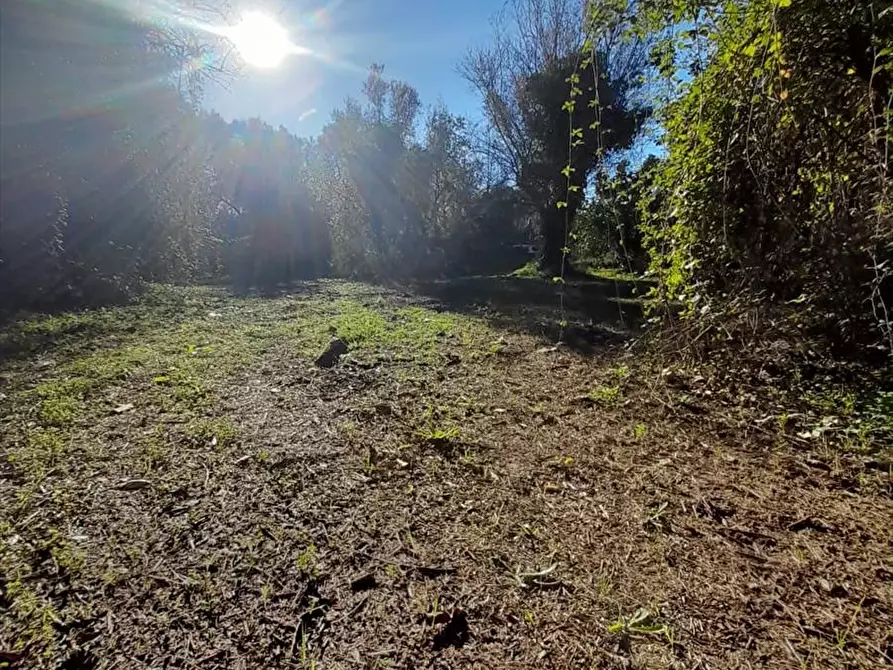 Immagine 6 di Terreno edificabile in vendita  a Taurianova