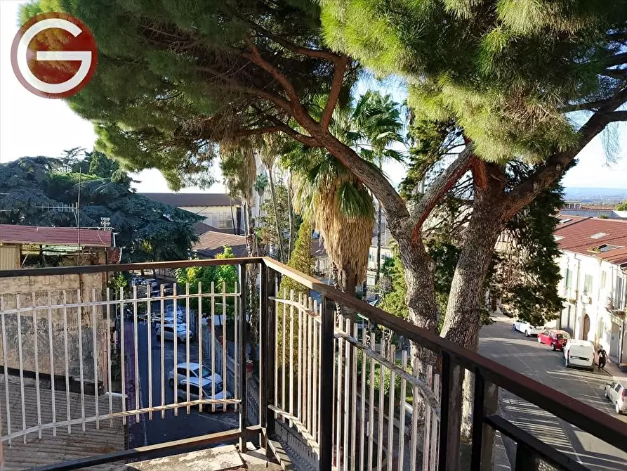 Immagine 23 di Appartamento in vendita  a Polistena