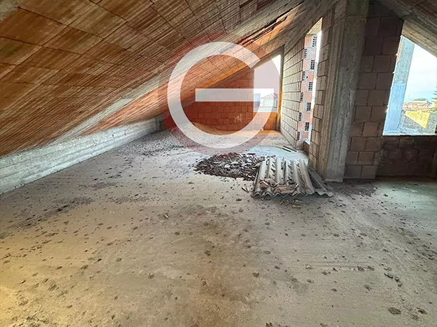 Immagine 19 di Casa indipendente in vendita  a Cittanova