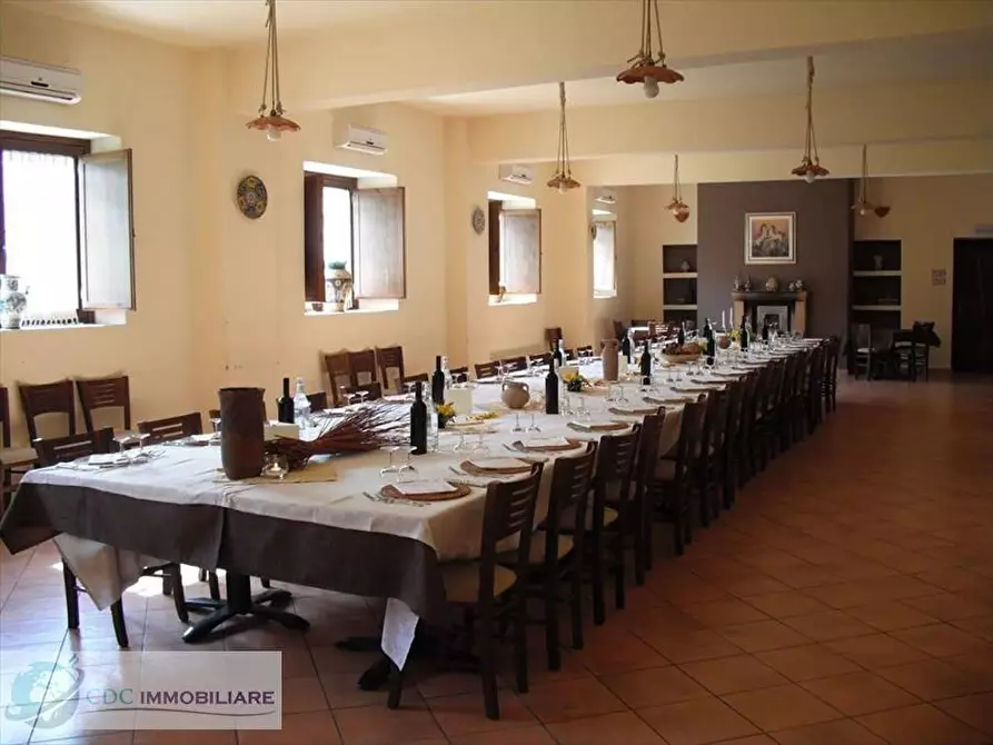 Immagine 9 di Agriturismo in vendita  in Contrada Riena  a Castronovo Di Sicilia