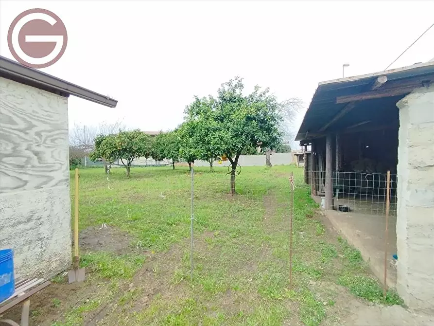 Immagine 5 di Terreno edificabile in vendita  a Taurianova