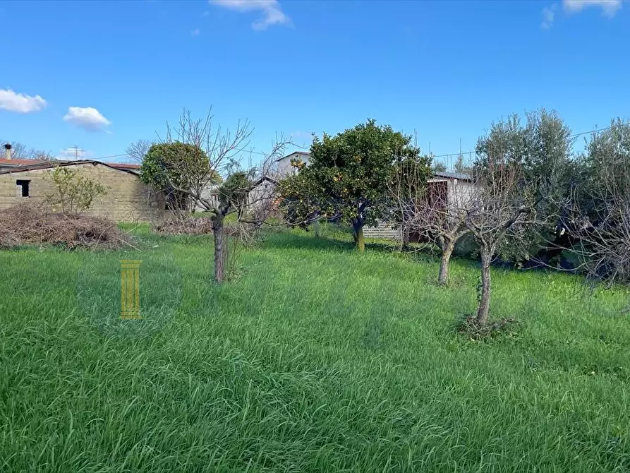 Immagine 6 di Rustico / casale in vendita  in Via San Nicola 74 a Velletri