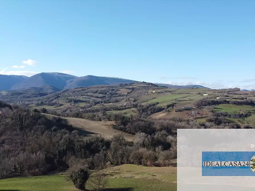 Immagine 10 di Terreno agricolo in vendita  in camporotondo di fiastrone c.da colvenale n. 7  a Camporotondo Di Fiastrone