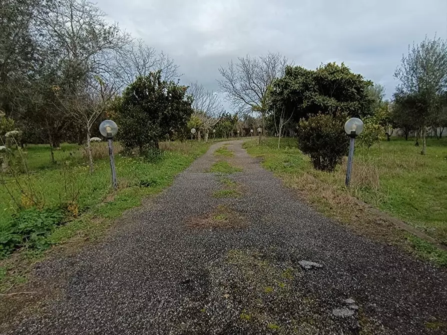 Immagine 13 di Abitazione tipica in affitto  a Taurianova