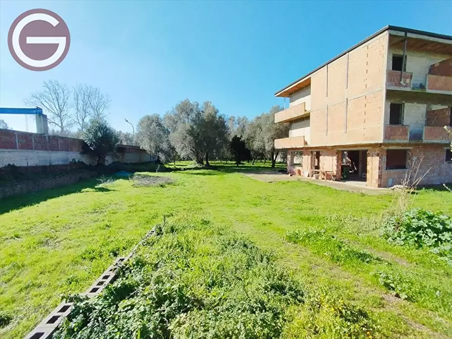 Immagine 5 di Agriturismo in vendita  a Taurianova