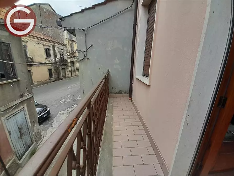 Immagine 13 di Casa indipendente in vendita  a Cittanova