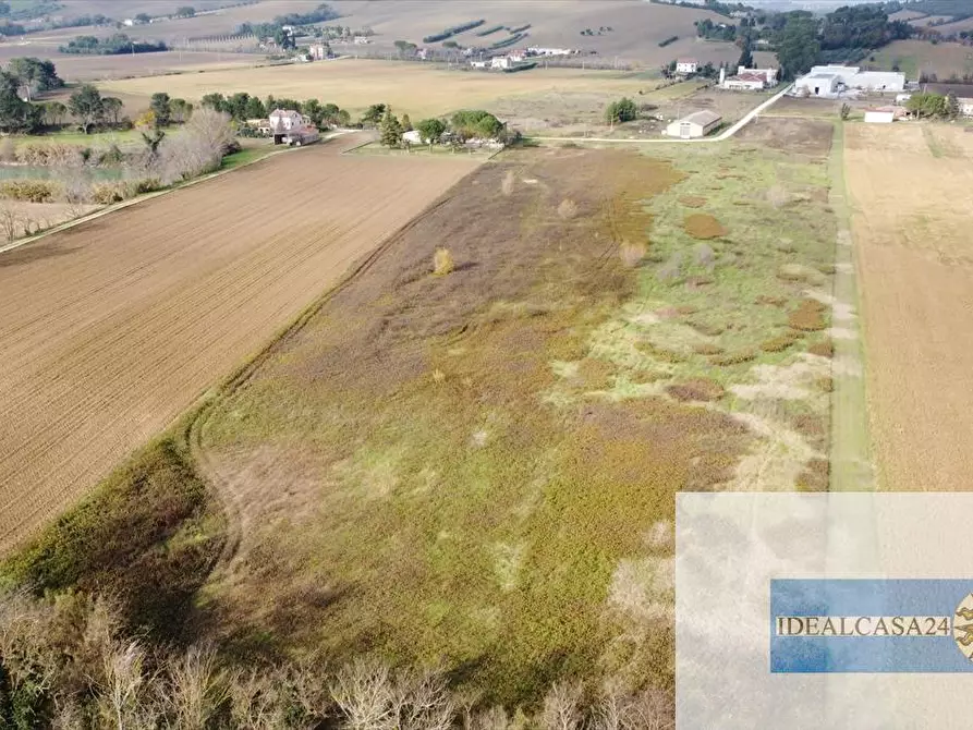 Immagine 11 di Terreno agricolo in vendita  in Treia C.da Chiaravalle snc a Treia