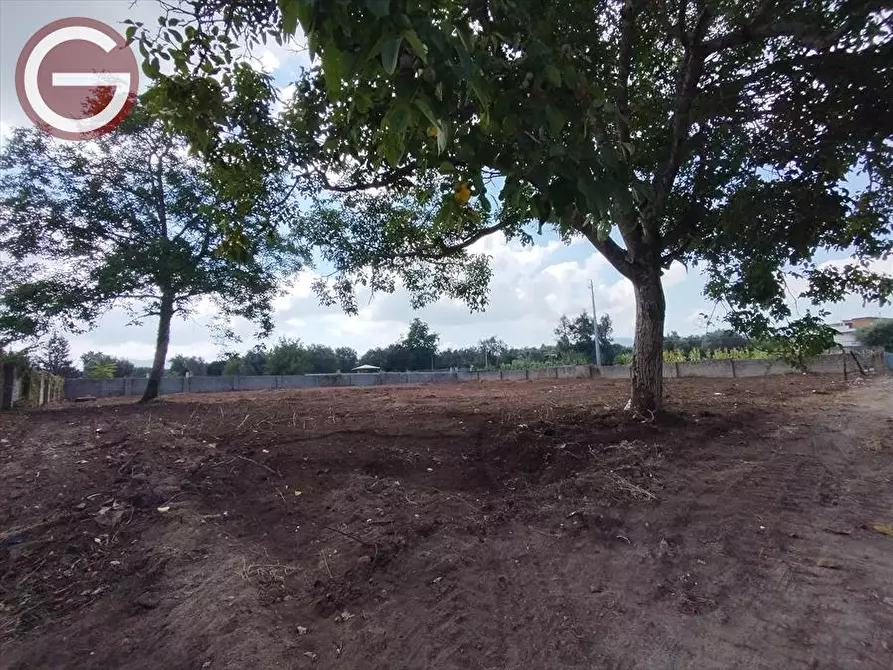 Immagine 3 di Terreno edificabile in vendita  a Taurianova