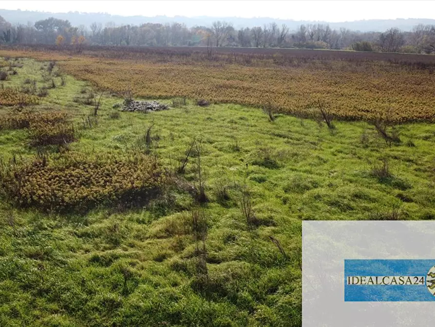 Immagine 27 di Terreno agricolo in vendita  in Treia C.da Chiaravalle snc a Treia