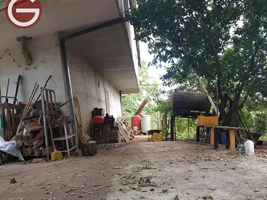 Immagine 13 di Casa indipendente in vendita  a Taurianova
