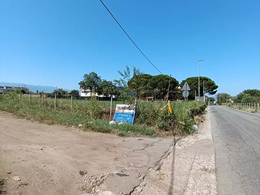 Immagine 3 di Terreno agricolo in vendita  a Taurianova