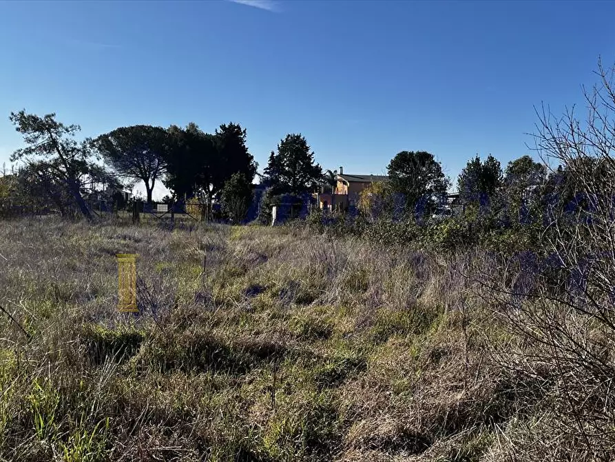 Immagine 8 di Terreno edificabile in vendita  a Aprilia
