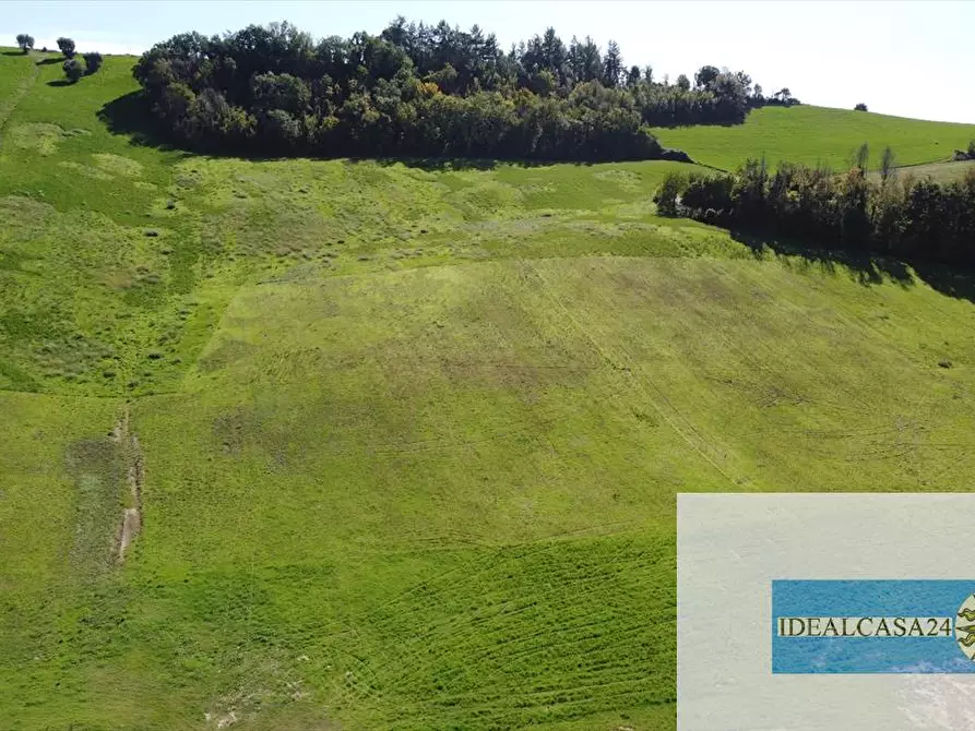 Immagine 1 di Terreno agricolo in vendita  in Corridonia Contrada Ponte tavola a Corridonia