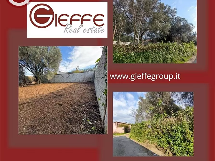 Immagine 1 di Terreno agricolo in vendita  a Taurianova