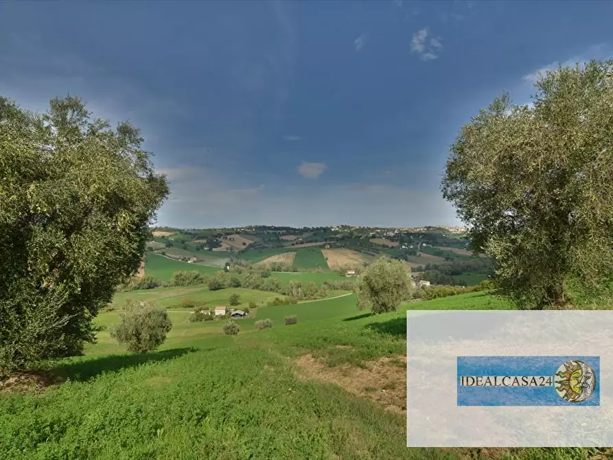 Immagine 28 di Terreno agricolo in vendita  in Corridonia Contrada Ponte tavola a Corridonia