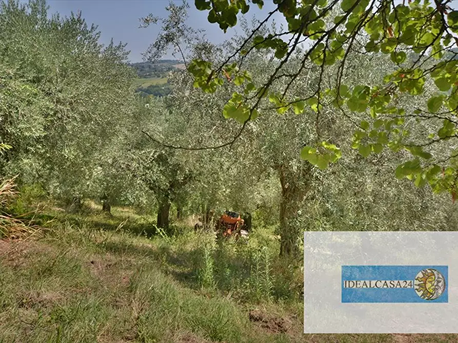 Immagine 5 di Casa indipendente in vendita  in C.da Santo Stefano 35 a Macerata