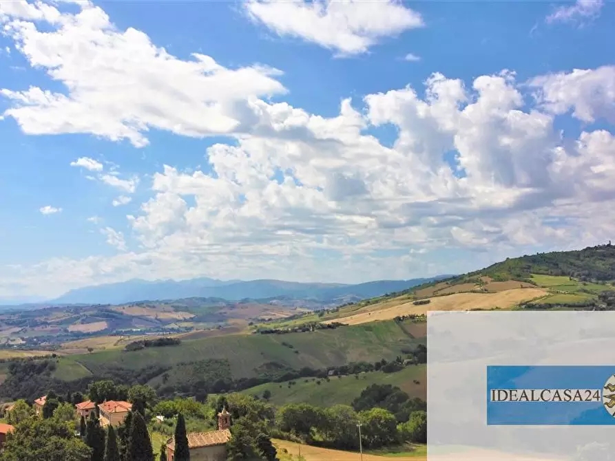 Immagine 7 di Terreno edificabile in vendita  a Treia