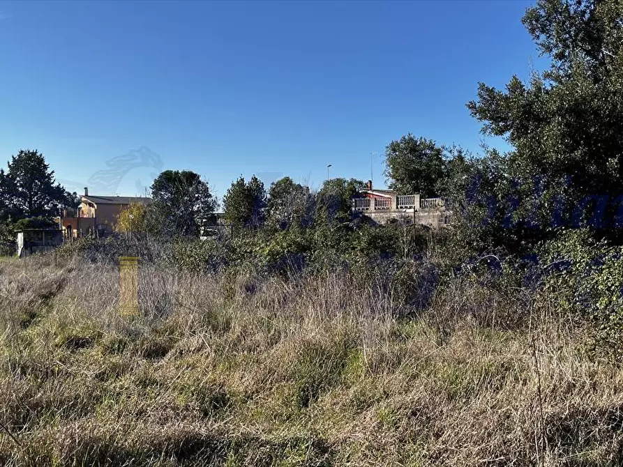 Immagine 10 di Terreno edificabile in vendita  a Aprilia