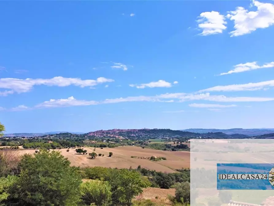 Immagine 3 di Terreno edificabile in vendita  a Treia