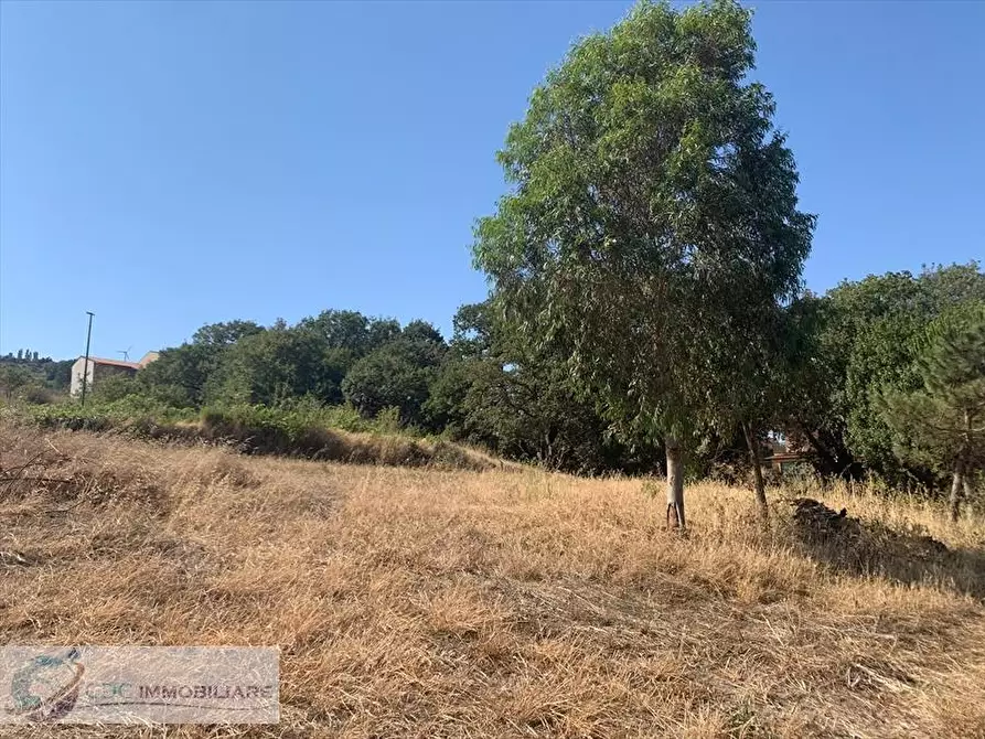 Immagine 8 di Terreno edificabile in vendita  in Viale delle Querce  a Valledolmo