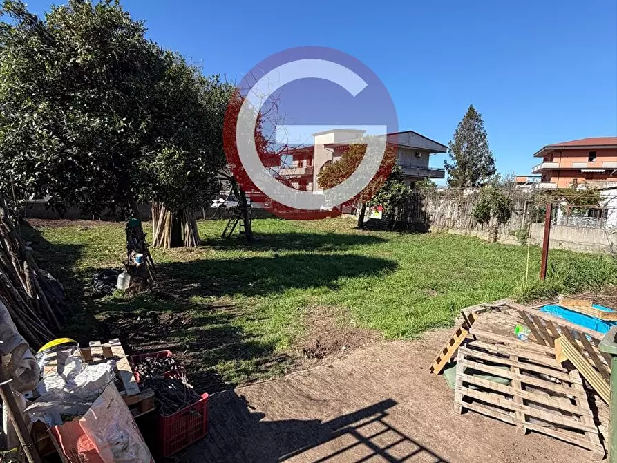Immagine 3 di Terreno edificabile in vendita  a Taurianova