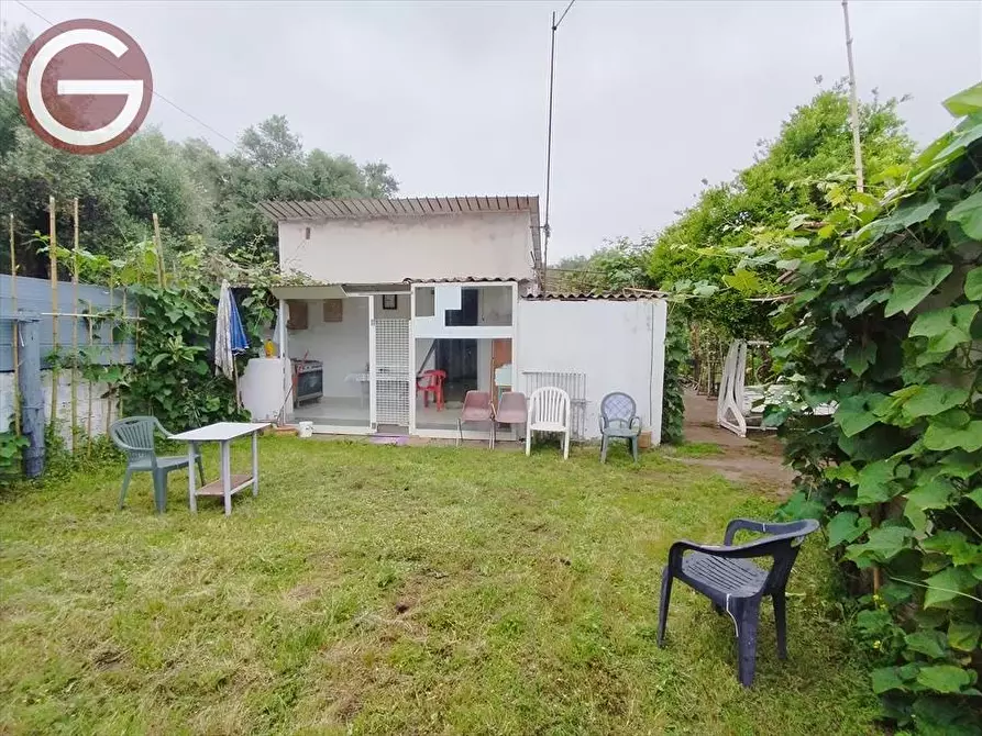 Immagine 3 di Terreno agricolo in vendita  a Taurianova