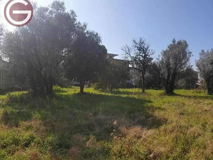 Immagine 2 di Terreno industriale in vendita  a Taurianova