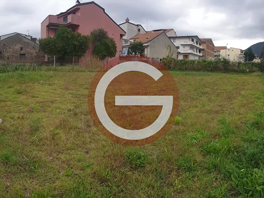 Immagine 4 di Terreno edificabile in vendita  a Cittanova