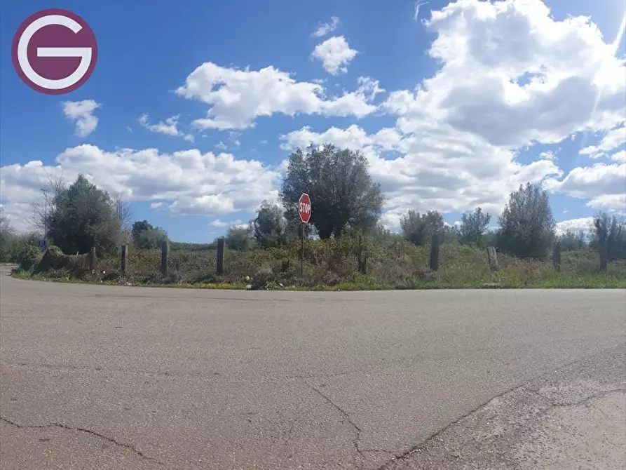 Immagine 3 di Terreno agricolo in vendita  a Taurianova