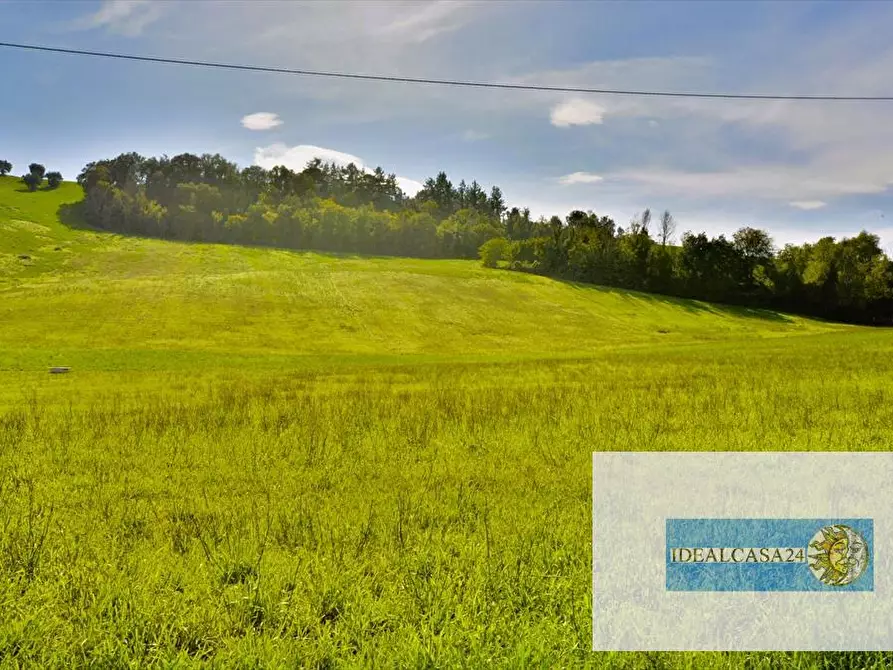 Immagine 13 di Terreno agricolo in vendita  in Corridonia Contrada Ponte tavola a Corridonia