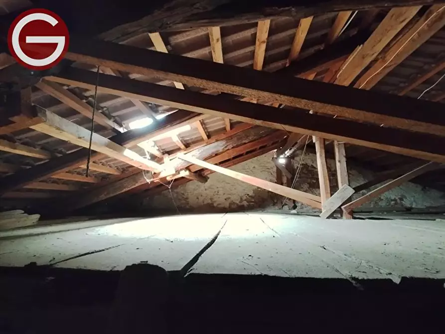 Immagine 7 di Casa indipendente in vendita  a Cittanova