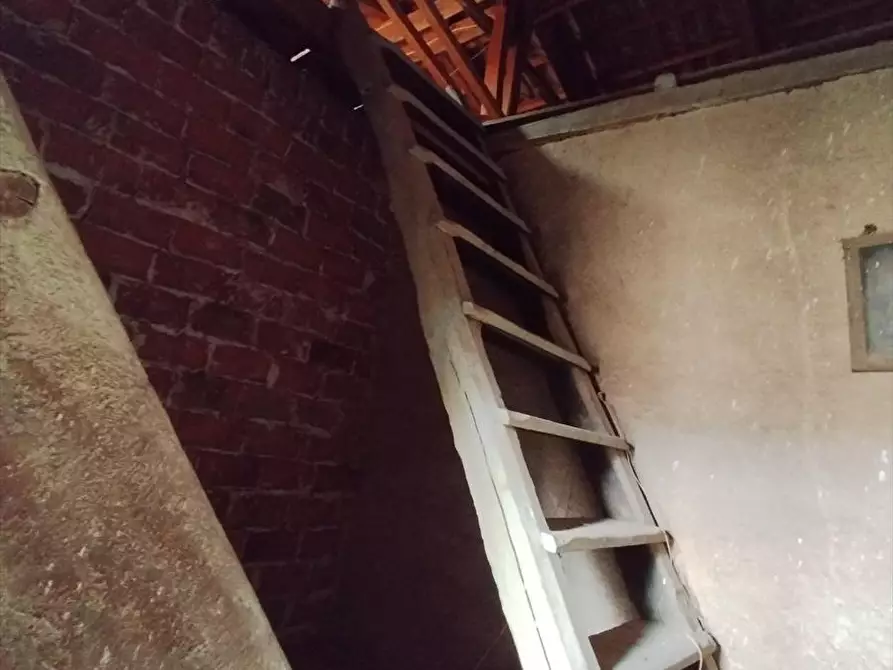 Immagine 5 di Casa indipendente in vendita  a Cittanova