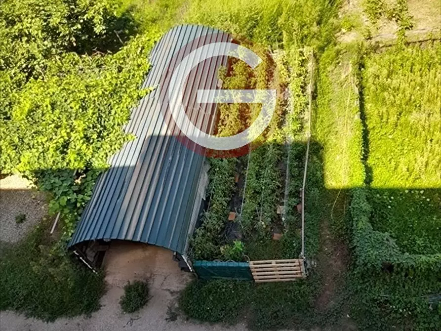 Immagine 15 di Appartamento in vendita  a Cittanova