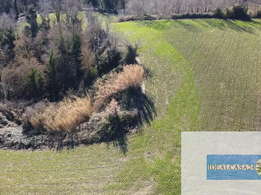 Immagine 3 di Terreno agricolo in vendita  in camporotondo di fiastrone c.da colvenale n. 7  a Camporotondo Di Fiastrone